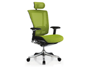 Mesh Executive ChairCG-LD-AB-HAM_Office Furniture_Mesh Executive Chair_Office Chair