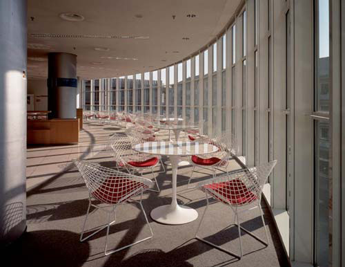 Table|Dining Table|Office Furniture|Dining Table|����